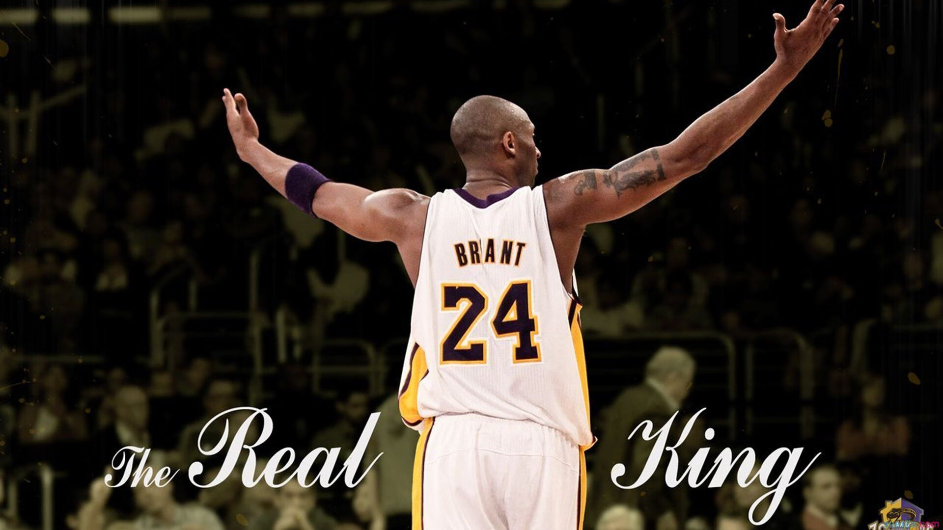 勇士观众热烈欢呼！，浓眉哥迎来二十赛季出色发挥比赛高潮迭起的简单介绍